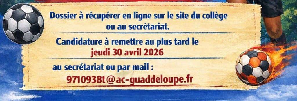section sportive