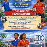 section sportive