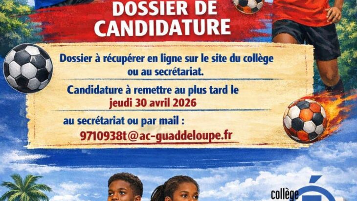 section sportive
